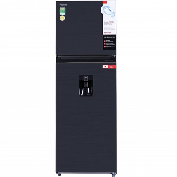 Tủ Lạnh Toshiba 2