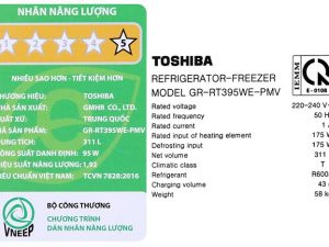 Toshiba Gr Rt395we Pmv 06 Mg 14 700x467