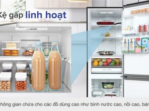 Tu Lanh Toshiba Gr Rb410we Sg 19