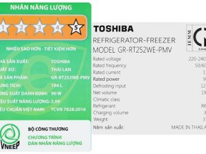 Tu Lanh Toshiba Inverter 194 Lit Gr Rt252we Pmv 52 12 700x467